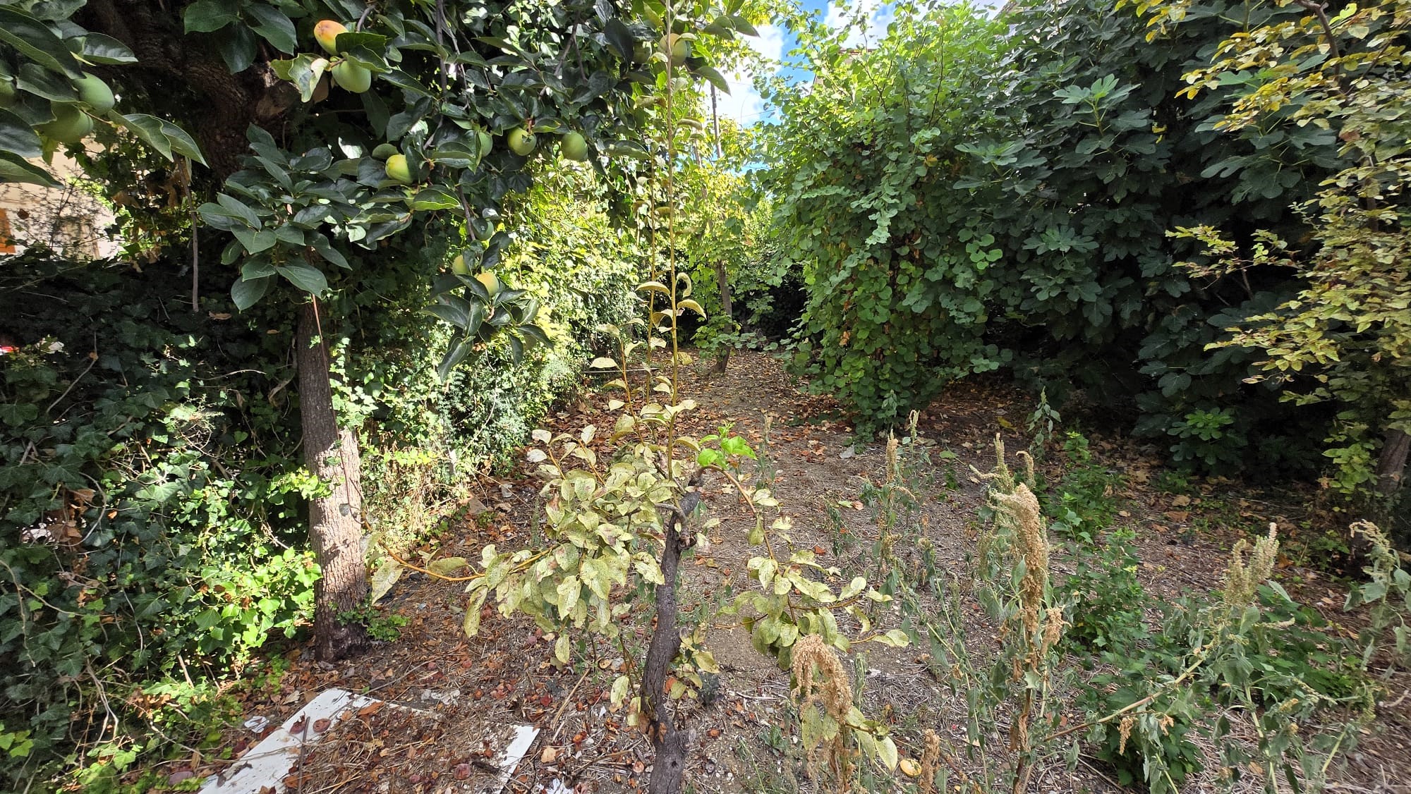 17 Casa semi indipendente con corte esclusiva in vendita a Mosciano Sant’Angelo